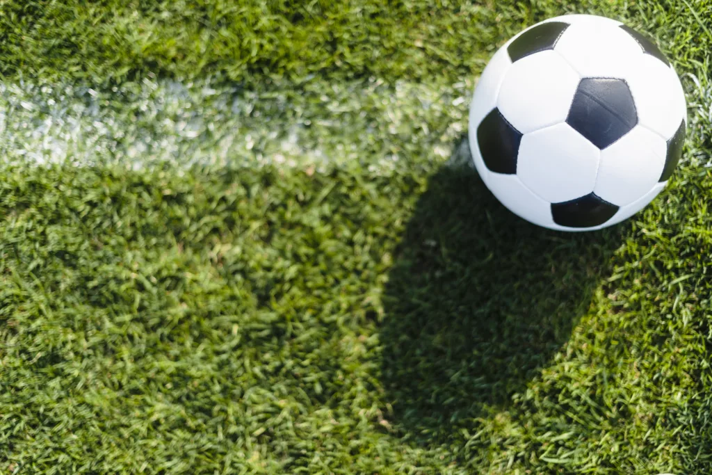 2026世界盃場地改建:美國球場改鋪天然草皮引發爭論 7 比賽品質和商業效益取得平衡是難題